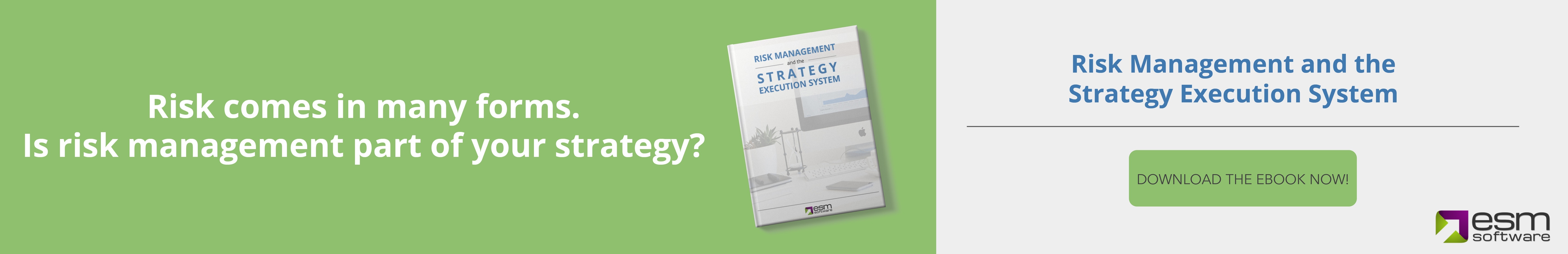 Risk Management and the Strategy Execution System