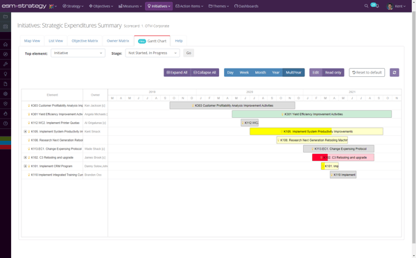 Screenshot +Strategy - Initiatives Ghantt Chart