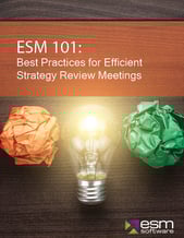 Strategy Review Meetings