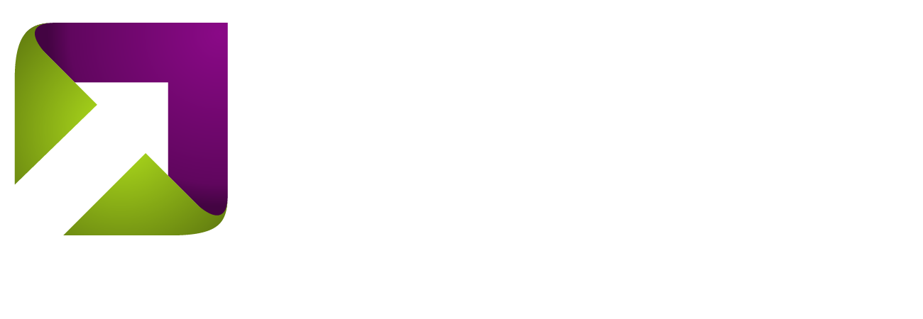 The Strategy Execution Company