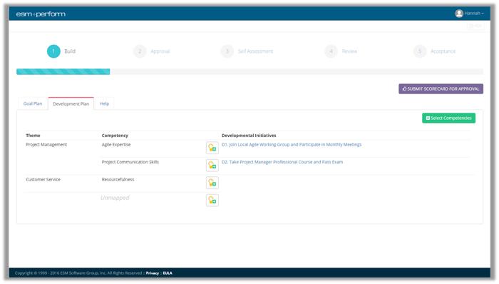 Sample HR Development Plan in ESM