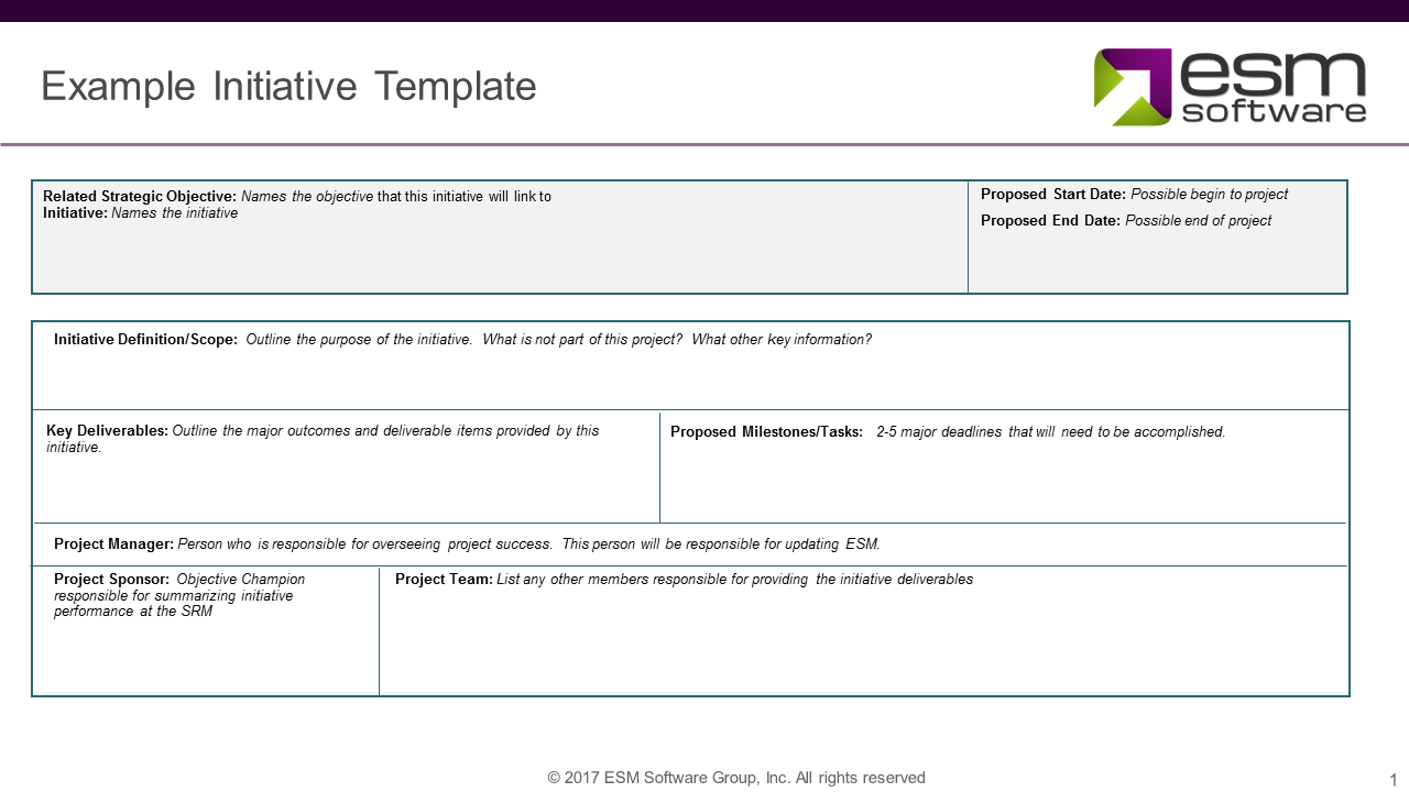 Example Initiative Template - ESM