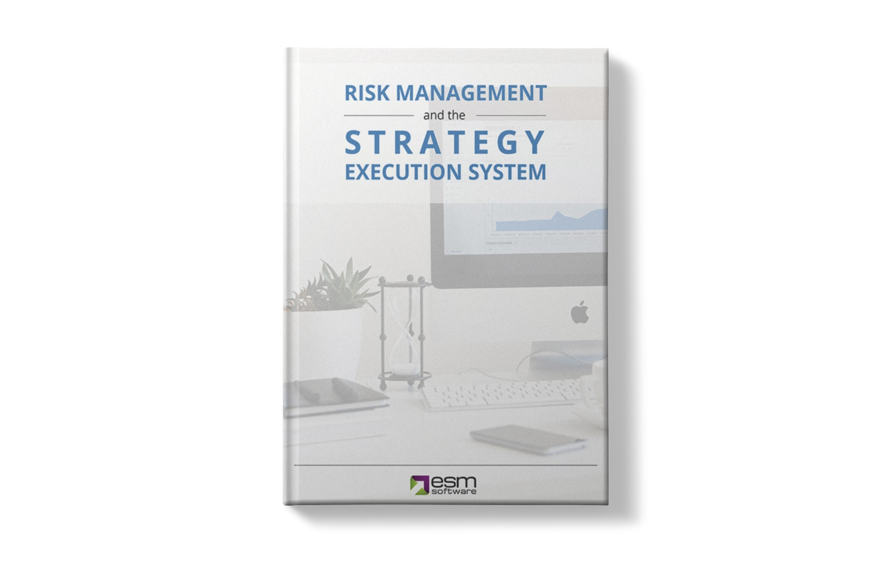 Risk Management and the Strategy Execution System