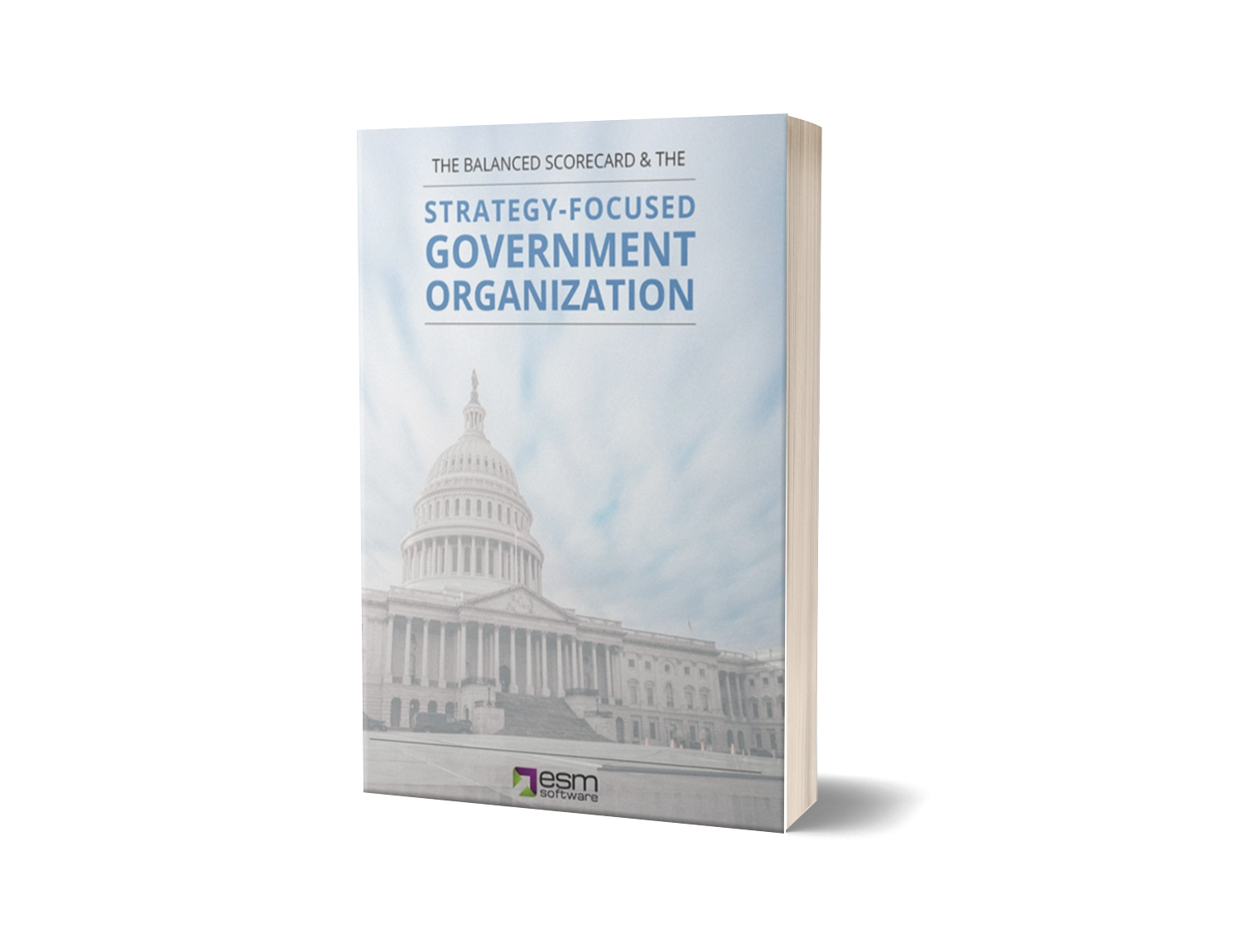 Strategy-Focused Government Organization