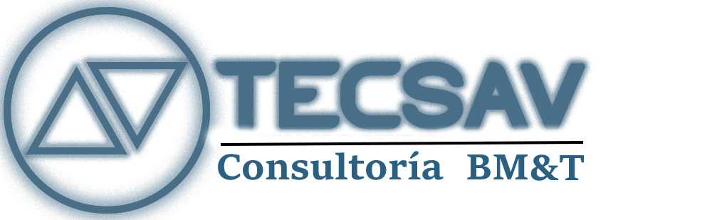 Logo tecsav consultora_vf