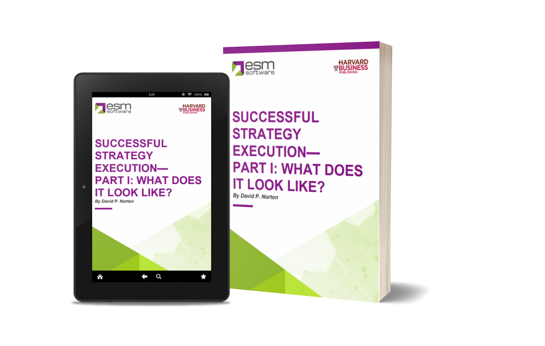 Successful Strategy Execution: Part 1