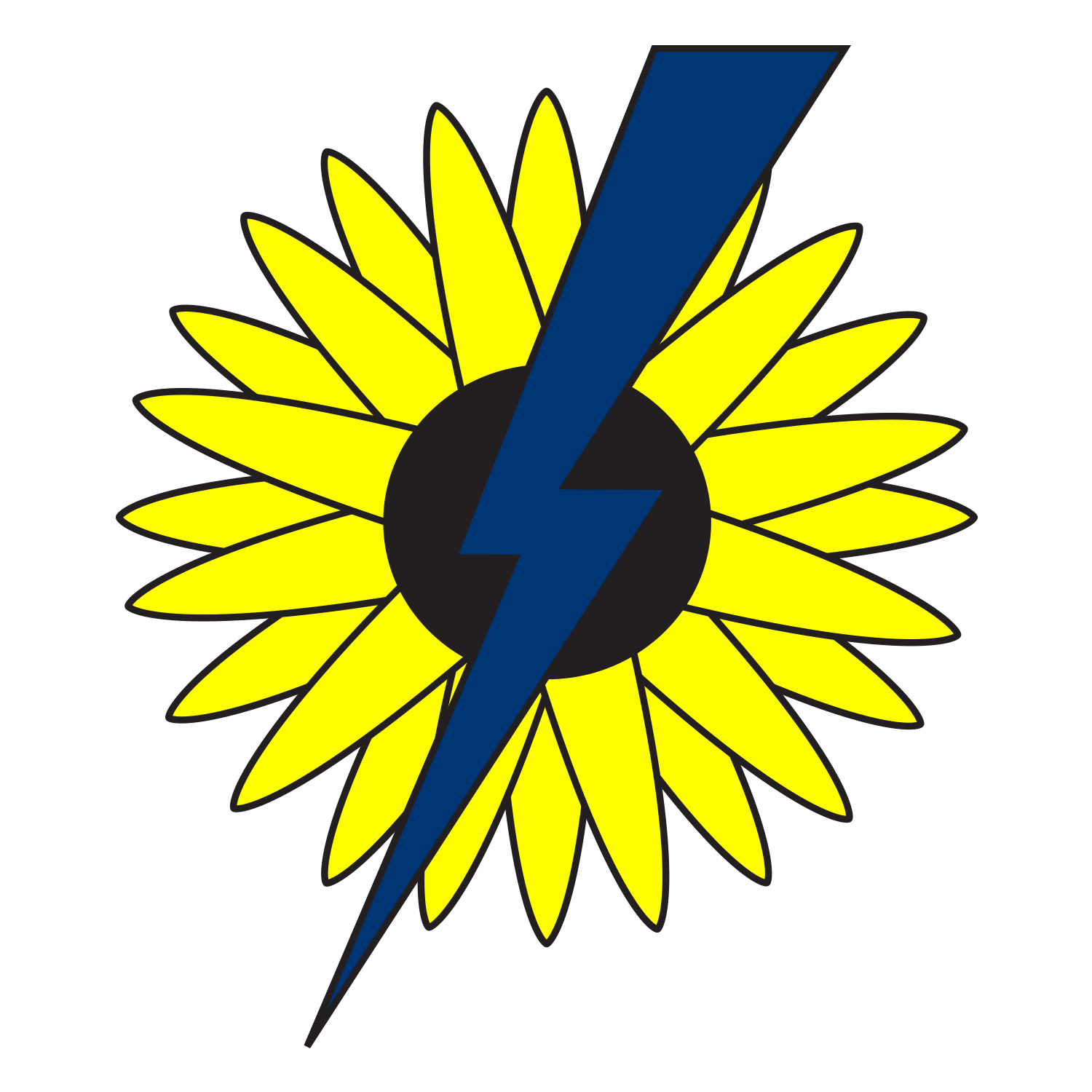 Sunflower Electric ESM Software testimonial quote