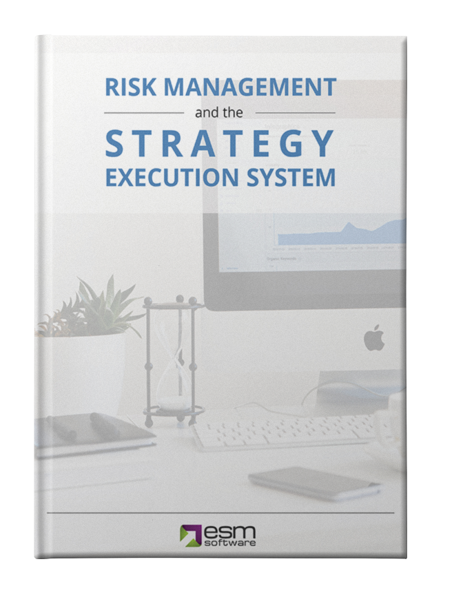 Risk Management and the Strategy Execution System Mockup