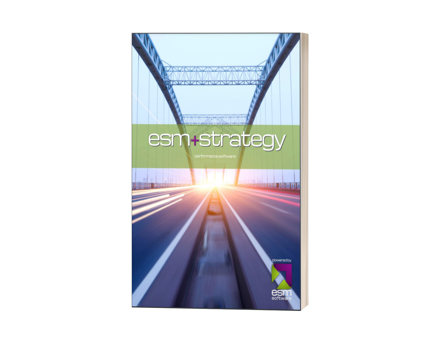 esm+strategy brochure thumbnail